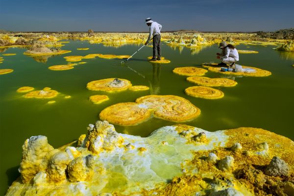 Dallol, at the frontiers of life