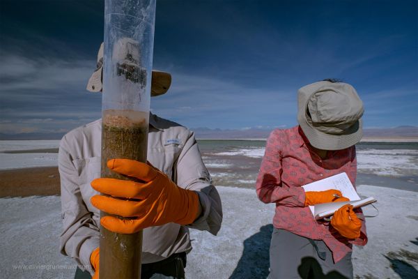 Atacama salars:  windows on the past