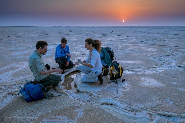 Dallol, aux frontières de la vie