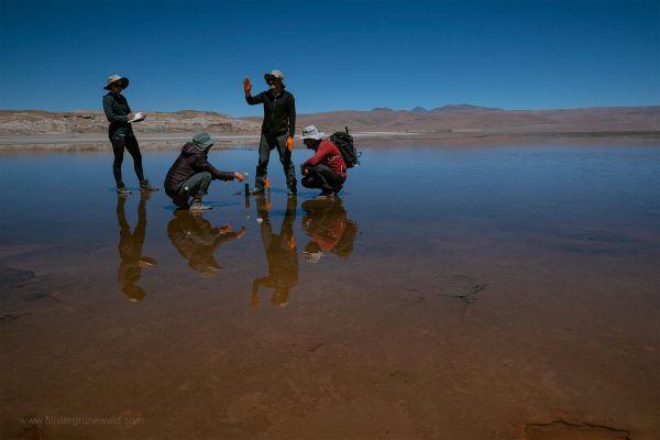 Salars de l’Atacama : des fenêtres sur le passé