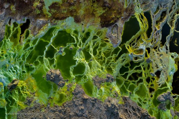 Dallol, at the frontiers of life