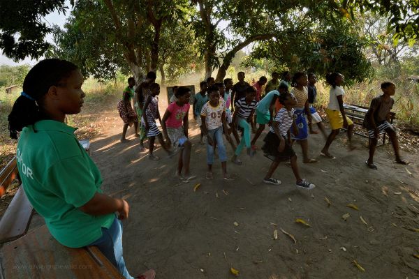 Gorongosa the park of reconciliation