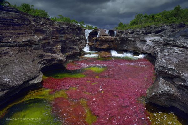 Protégée et devenue un site touristique, Cano Cristales et ses couleurs fait vivre aujourd’hui près de 300 familles qui dépendaient autrefois de l’élevage et de la coca. 