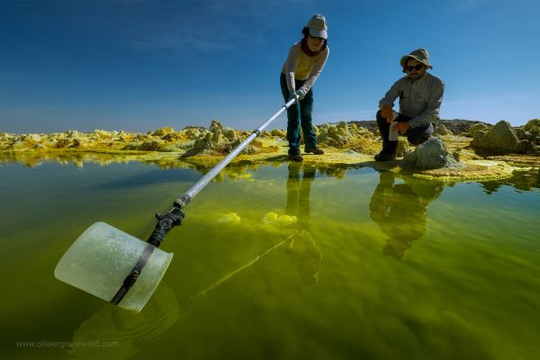 Dallol, at the frontiers of life