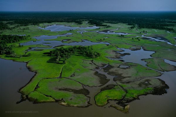 Gorongosa the park of reconciliation